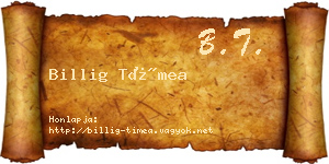 Billig Tímea névjegykártya